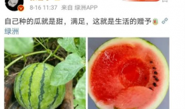 娱乐圈吃瓜哪里好吃,揭秘明星圈中美食地图