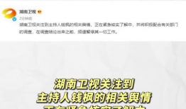 娱乐圈吃瓜语音,幕后真相与明星隐私曝光